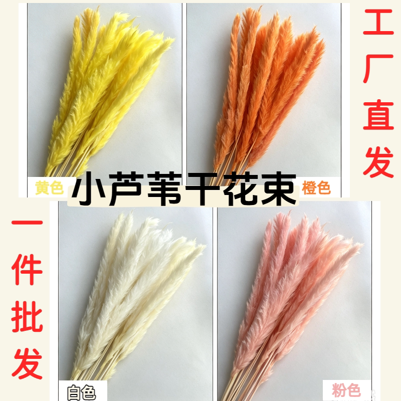 天然芦苇干花DIY手工材料包