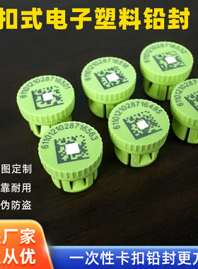 电能表卡扣式铅封塑料锁扣封纽扣