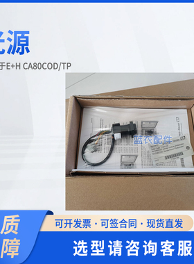 E+H恩德斯豪斯 光源71324199/71324202 适配E+H CA80COD/TP