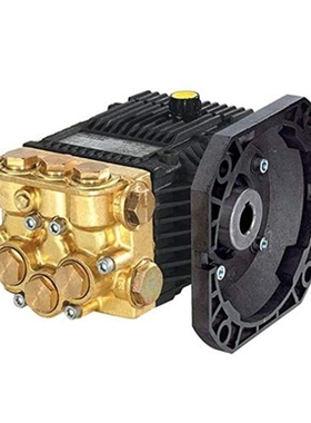 ANNOVI REVERBERI高压柱塞泵 清洗机 水封 单向阀 隔膜泵 水泵