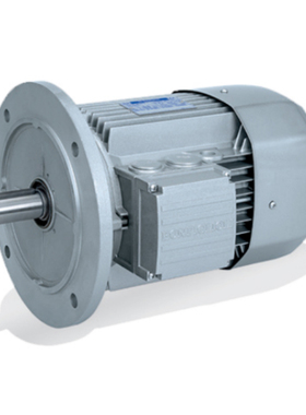 BRAMMER交流电机 轴承