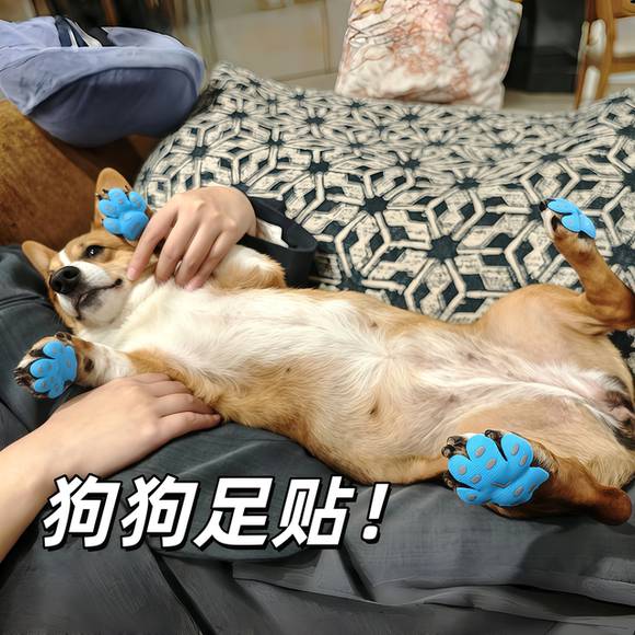 小狗包脚~防滑足贴鞋子小大型犬护足垫保护狗狗爪子狗脚趾抓地垫
