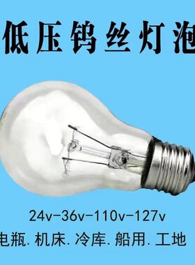 低电压灯泡12v24v36v48v60v110v
