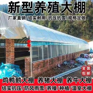 大棚骨架全套椭圆管养殖大棚养鸡鸭鹅猪牛羊蔬菜半坡暖棚架子拱杆