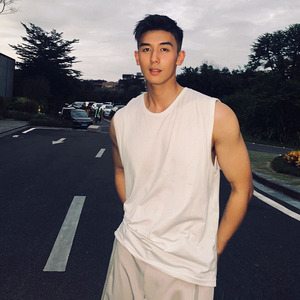 NTBF 230G重磅春夏坎肩无袖背心男纯棉宽松圆领马甲健身运动男t