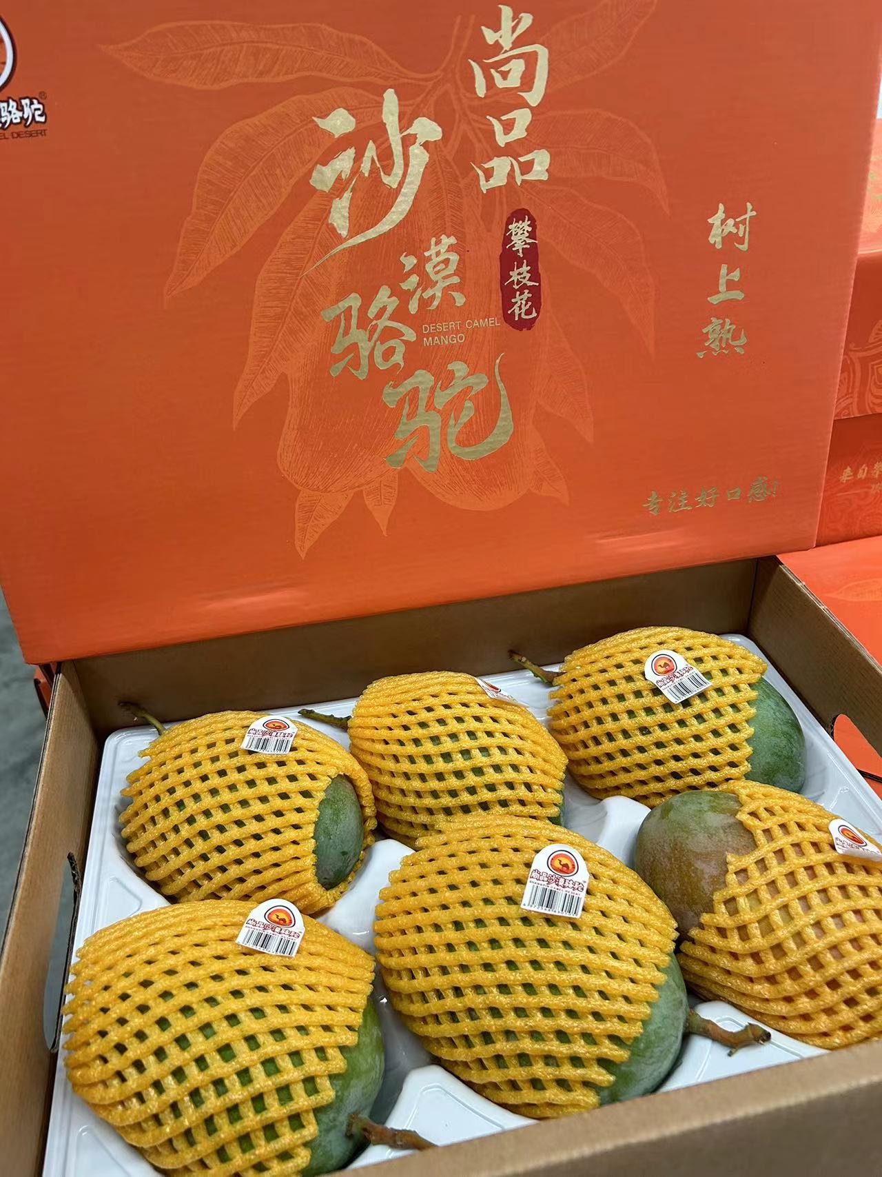 沙漠骆驼树熟攀枝花凯特芒果大果野生芒果孕妇水果新鲜原箱礼盒