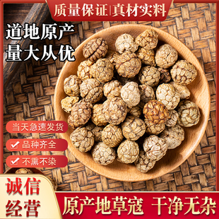 草蔻新鲜500g克仁草豆蔻草寇小草冦老蔻粉卤料香料调料大料