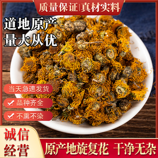 旋覆花新鲜新款上市中药材250g菊六月菊金佛花非野生显脉旋复花