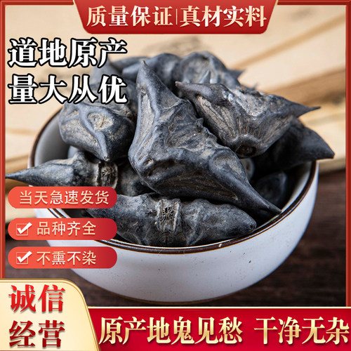 中药材野生鬼不缠鬼见愁干菱角
