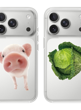 猪猪拱白菜适用苹果17PROMAX情侣17可爱16PRO动漫12卡通11个性iPhone15PROMAX硅胶透明手机壳华为小米vivoopp