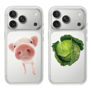 iPhone15PROMAX硅胶透明手机壳华为小米vivoopp 猪猪拱白菜适用苹果17PROMAX情侣17可爱16PRO动漫12卡通11个性