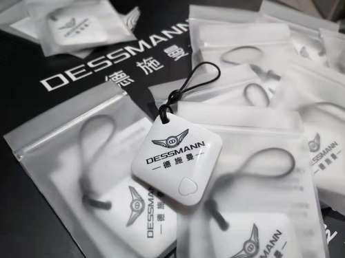 德施曼蓝牙遥控密码锁