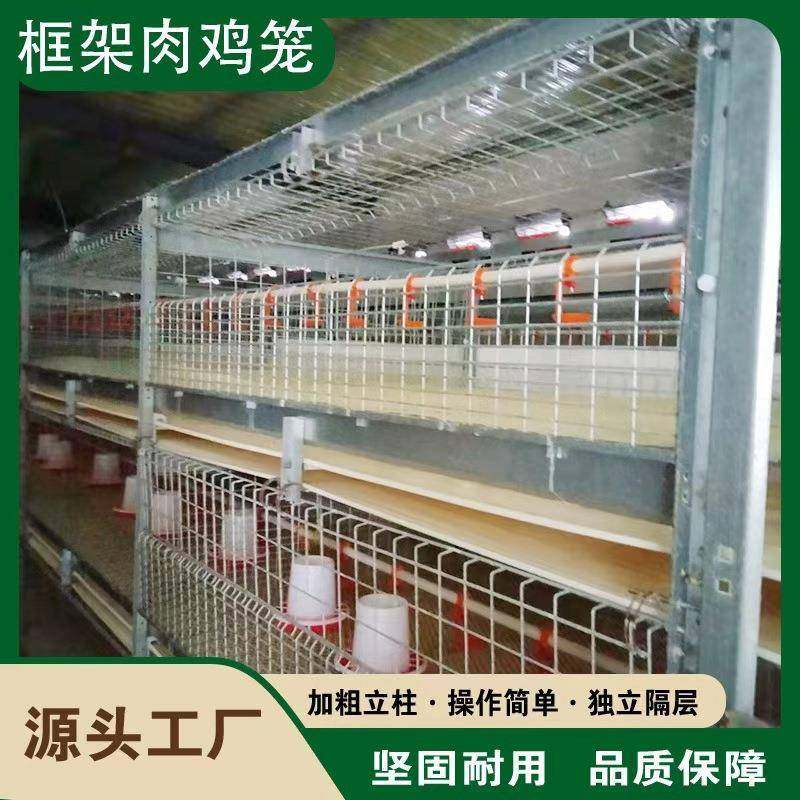 框架肉鸡笼全自动化半自动立体鸡舍镀锌养殖养鸡可供国内外,畜牧/养殖物资,特种养殖设备,淘宝优惠券,粉丝福利购,淘宝优惠卷