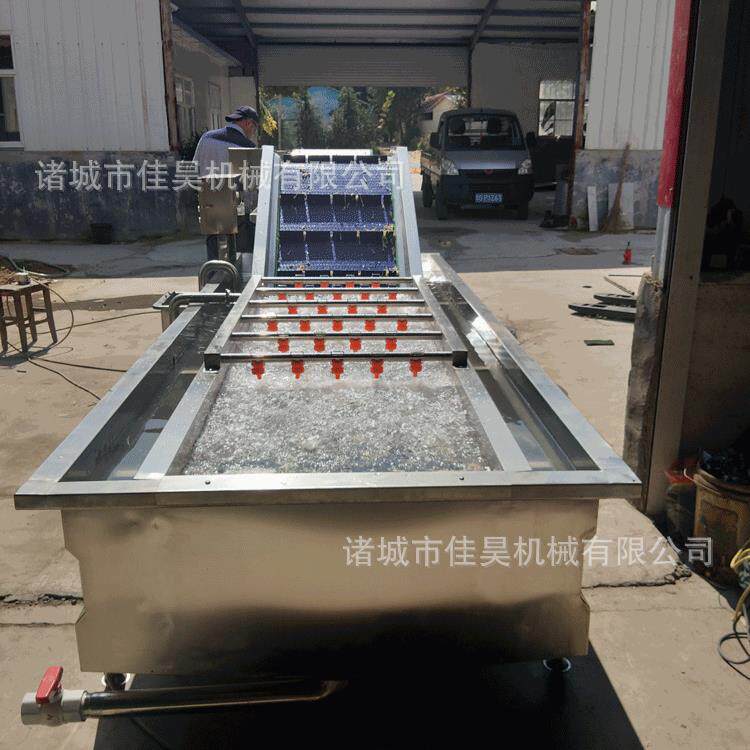 西红柿气泡清洗机生蚝清洗机果蔬胡萝卜清洗设备