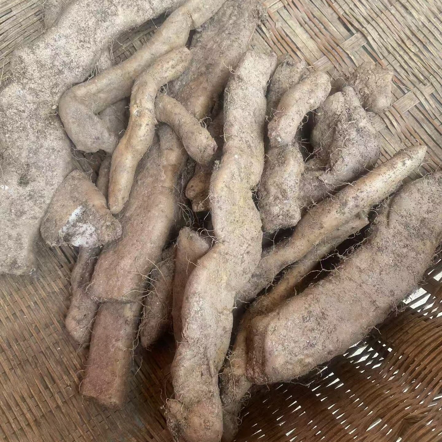 秦岭深山新鲜野山药现挖现发煲汤