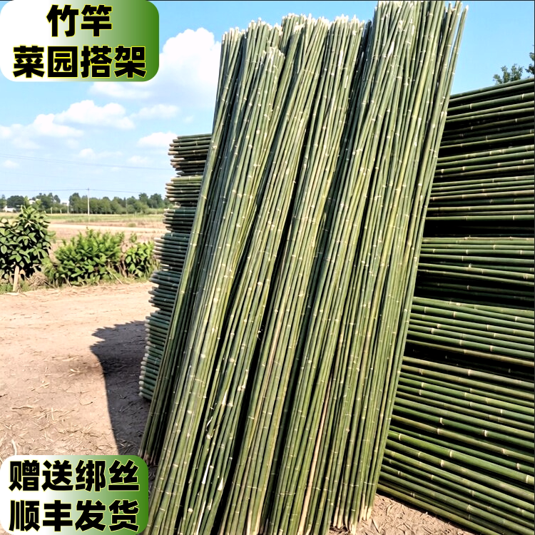 竹竿菜园搭架豆角黄瓜西红柿丝瓜爬藤篱笆围栏旗杆细竹子新品包邮