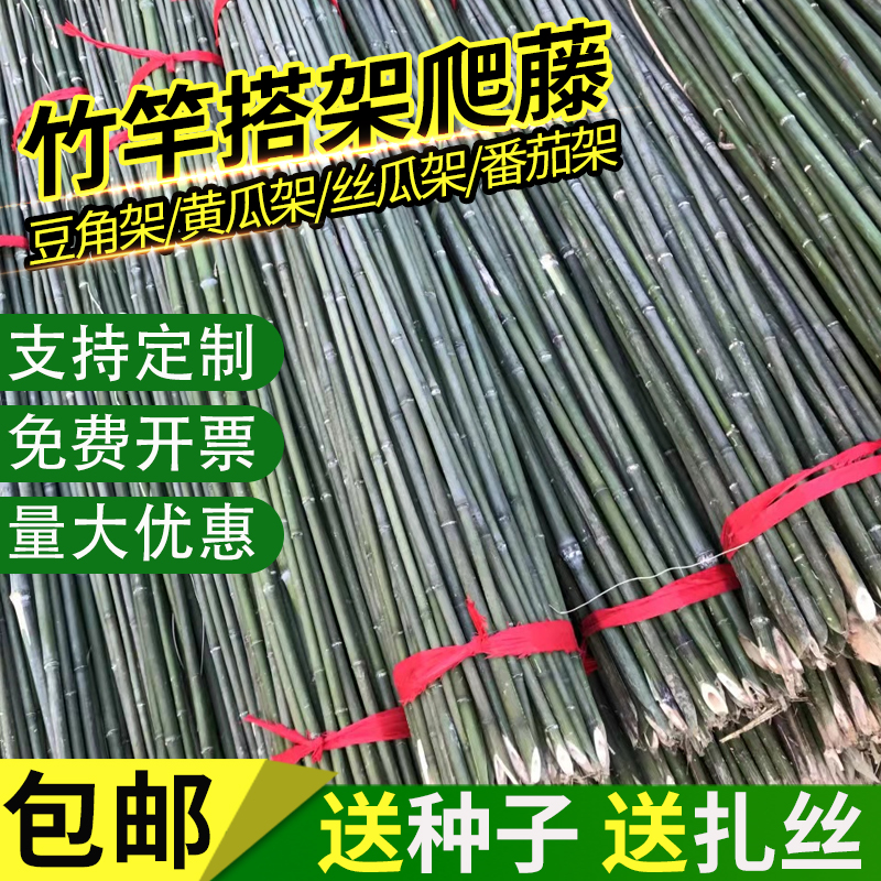 竹竿菜园豆角黄瓜番茄爬藤架包邮