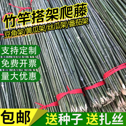 竹竿菜园搭架豆角黄瓜番茄爬藤架园艺篱笆围栏旗杆细竹子新品包邮