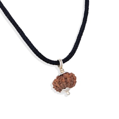 印度国际直邮湿婆Mukhi Rudraksha 爪哇十二面金刚菩提子太阳神
