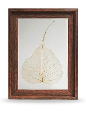 印度Ashram瑜伽冥想精修所道场菩提树叶子相框 摆件5.5*7.5英寸