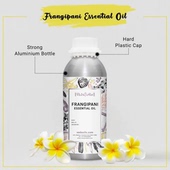 印度国家直邮Frangipani鸡蛋花精油 蒸馏 1kg