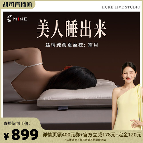 MINE/寐丝棉纯桑蚕丝枕单人家用