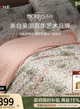 MINE/寐Morris&CoA类长绒棉纯棉秋冬四件套床单高级套件 风信子