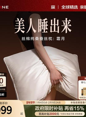 MINE/寐高级丝棉100%桑蚕丝枕头单人枕四季蚕丝枕芯新年送礼 霜月