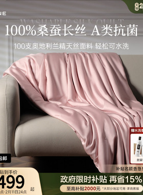 MINE/寐100桑蚕丝A类抗菌夏凉被100支可水洗蚕丝空调被送礼 迹II