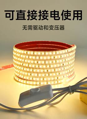 220V led灯带自粘户外防水包胶送插头开关即插即亮软灯条线形灯