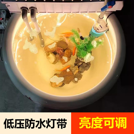 12V24v低压包胶灯带led灯条高亮自粘货车鱼缸电瓶车专用户外防水