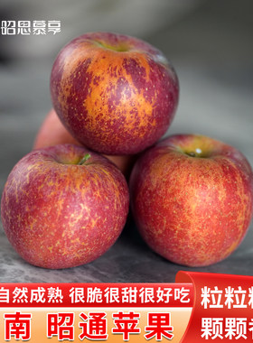 昭思慕享 云南昭通丑苹果新鲜水果2026年树上自然成熟脆甜多汁