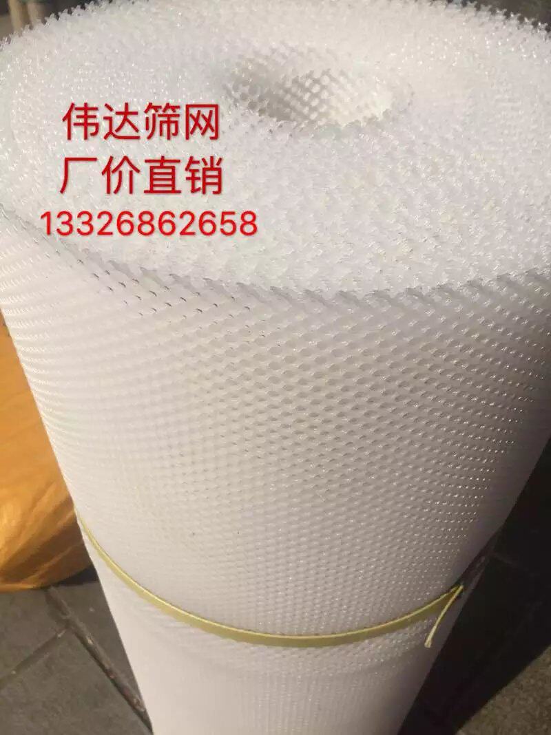 加厚白色全新塑料平网/养殖网/塑胶网/床垫网/家禽防护网/隔栏网