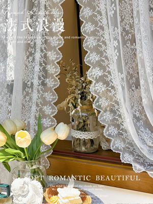 法式浪漫韩式白色蕾丝透光纱帘