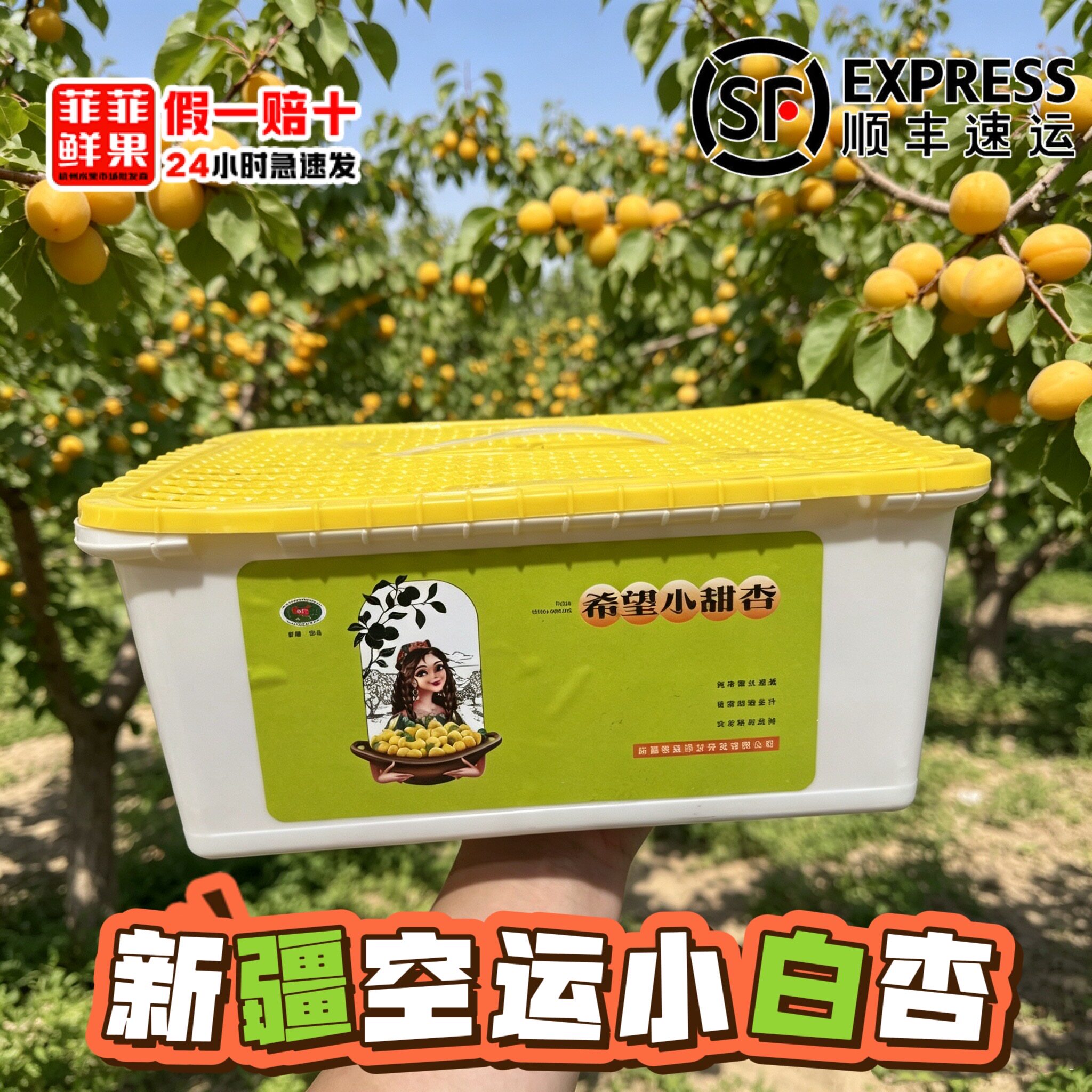新疆轮台希望小白杏3斤大果新鲜水果吊干杏应季生鲜整箱顺丰包邮