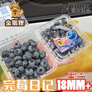 现货上嘉金狐狸佳沃蓝莓当季限量超大果脆甜蓝莓王大果孕妇宝宝辅