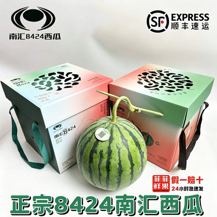 正宗上海南汇8424西瓜8斤黑籽脆甜新鲜水果非麒麟瓜当季现摘顺丰