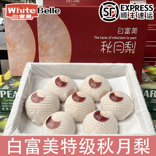 白富美冰糖秋月梨白富美