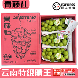 青藤社晴王葡萄大果特级新鲜云南水果无籽阳光玫瑰孕妇顺丰当季新
