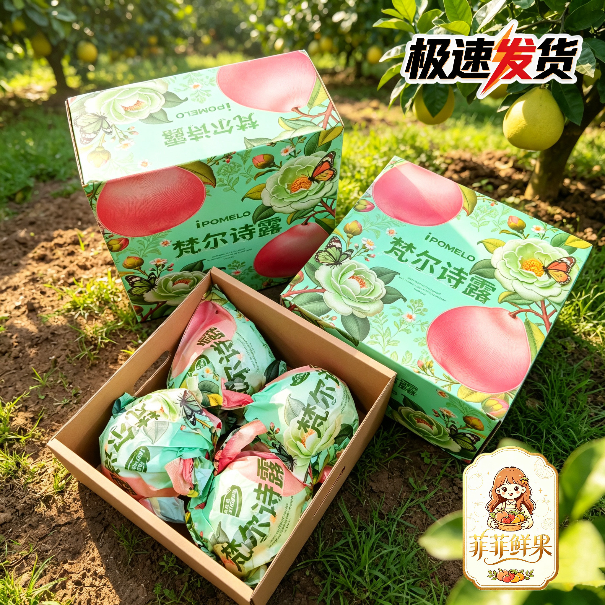 月阳果梵尔诗露红文旦柚子礼盒装装福建特产大红心蜜柚三红柚孕妇