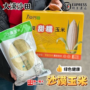 内蒙古大漠沙田沙域香白黄糯玉米甜糯苞米非转基因黄金玉米早餐黏