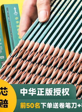中华牌铅笔学生专用101铅笔2b小学生素描无铅无毒套装hb绘画2h初学者考试幼儿园初学者绘图画画美术文具用品