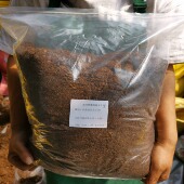 原装 正品 丹麦进口品氏泥炭土家庭专用营养土有机养花 假一罚十