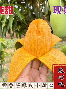 云南永德椰香鸡蛋芒新鲜应季芒果绿皮小甜心现摘现发
