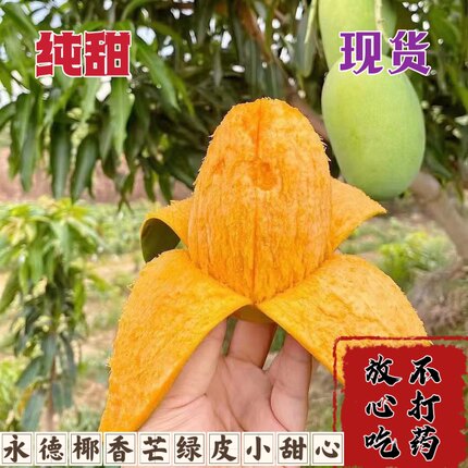 云南永德椰香鸡蛋芒新鲜应季芒果绿皮小甜心现摘现发