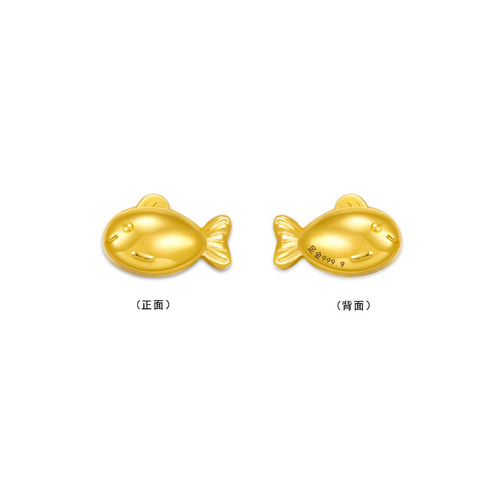 实心小金鱼黄金小黄鱼新选择