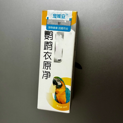 鹦鹉单眼伤风衣原体眼睛流泪眼病