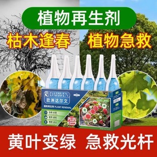 植物再生剂绿植盆栽植物花卉光杆发黄掉叶通用型复活液园艺水溶肥