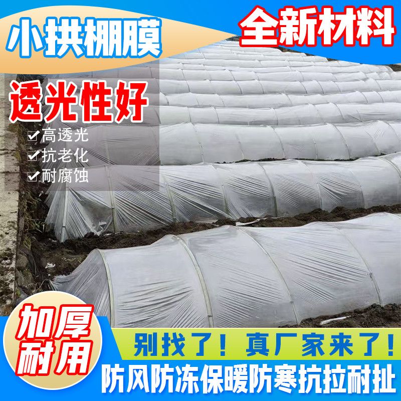 小拱棚专用膜育苗保温防