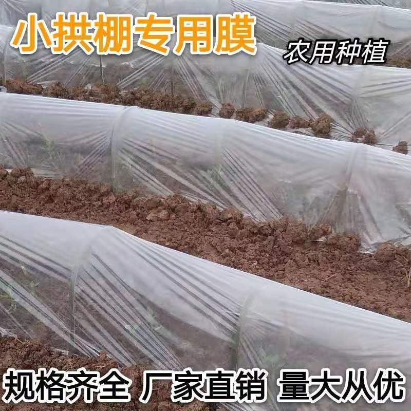 农用透明小拱棚育秧苗膜
